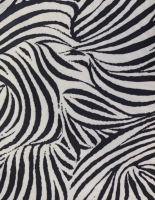 Exotic Zebra